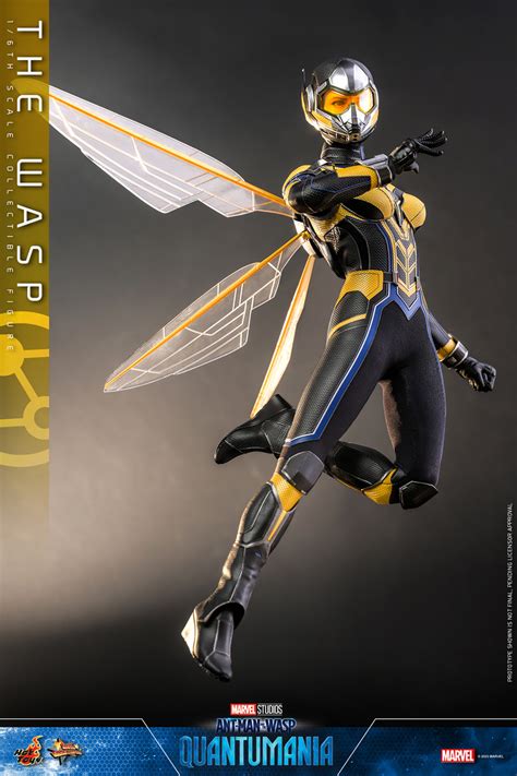 sexy wasp